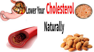 HomeoHealers - LowerYourCholesterol
